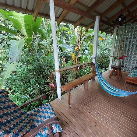 Casa Lina Sloth View Exotic Apartment With Privat Kitchen Puerto Viejo de Talamanca Eksteriør billede