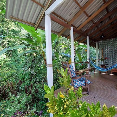 Casa Lina Sloth View Exotic Apartment With Privat Kitchen Puerto Viejo de Talamanca Eksteriør billede