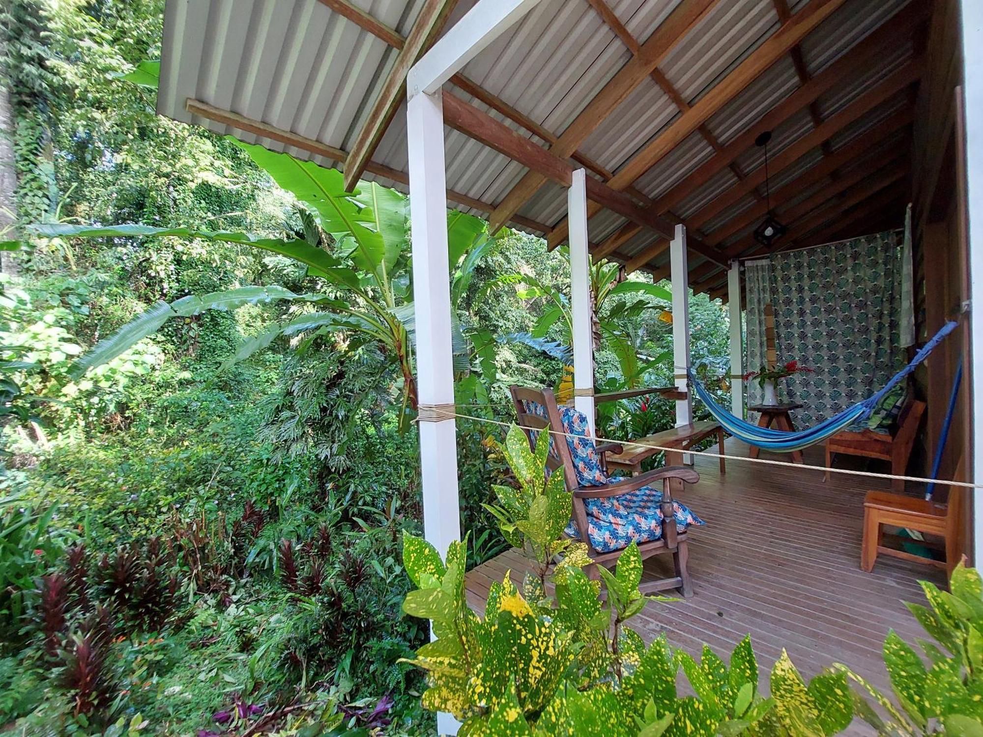 Casa Lina Sloth View Exotic Apartment With Privat Kitchen Puerto Viejo de Talamanca Eksteriør billede