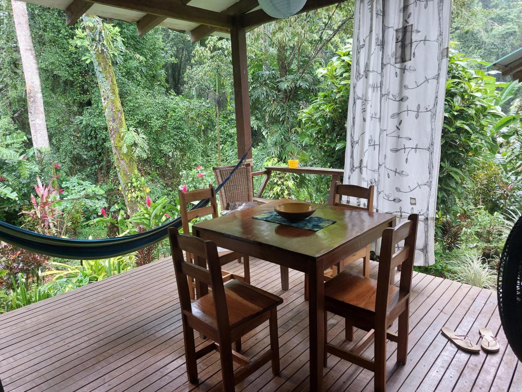 Casa Lina Sloth View Exotic Apartment With Privat Kitchen Puerto Viejo de Talamanca Eksteriør billede