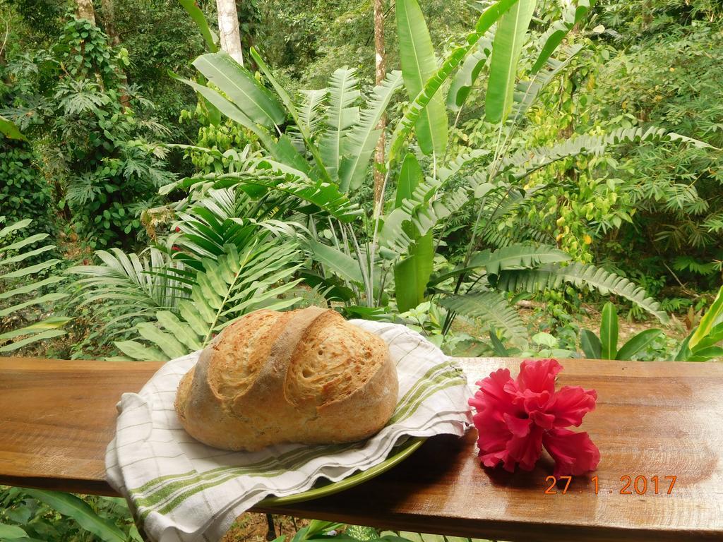 Casa Lina Sloth View Exotic Apartment With Privat Kitchen Puerto Viejo de Talamanca Eksteriør billede