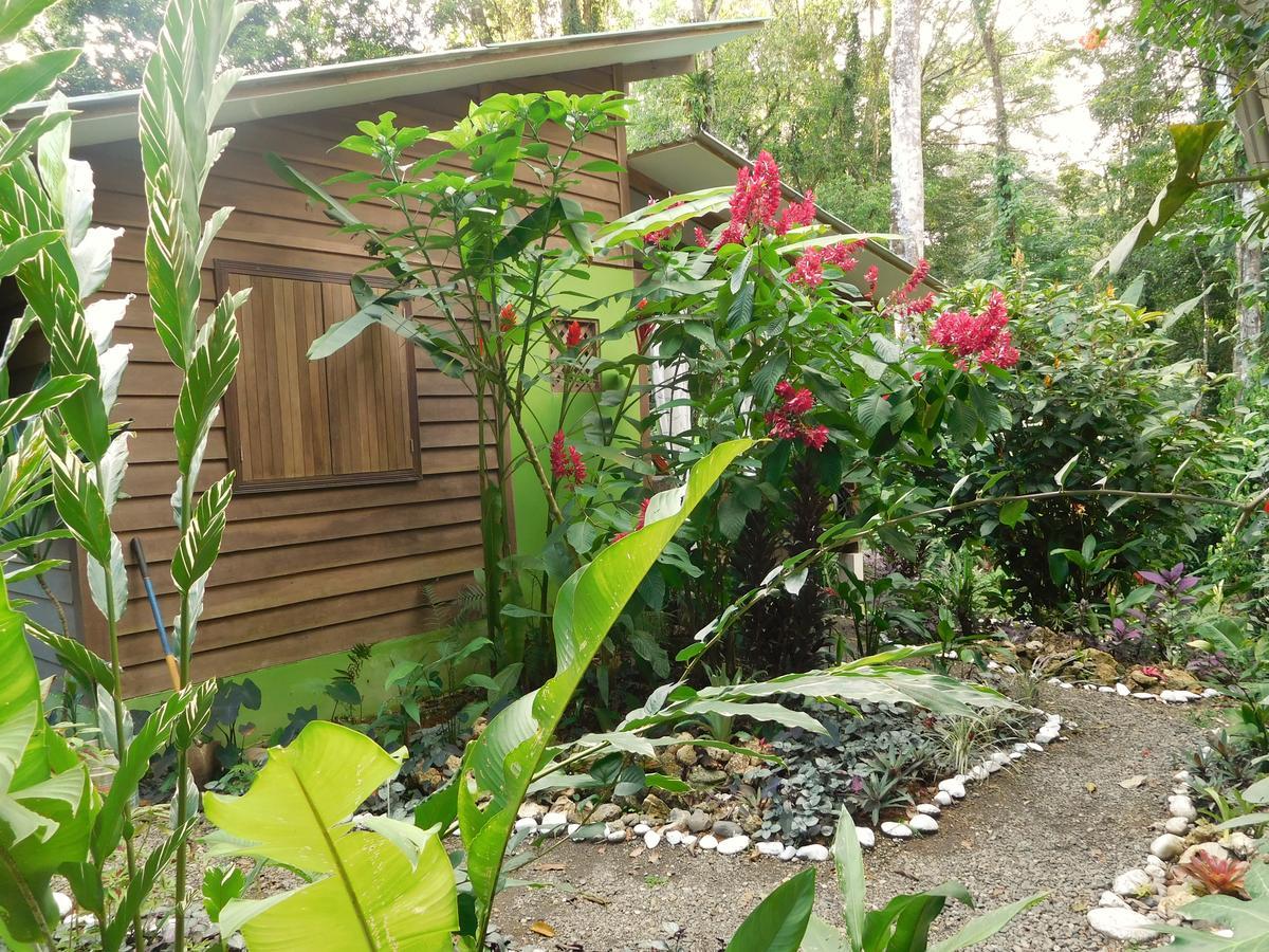 Casa Lina Sloth View Exotic Apartment With Privat Kitchen Puerto Viejo de Talamanca Eksteriør billede
