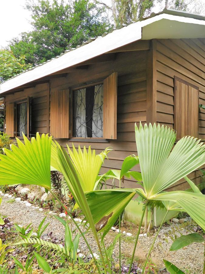 Casa Lina Sloth View Exotic Apartment With Privat Kitchen Puerto Viejo de Talamanca Eksteriør billede